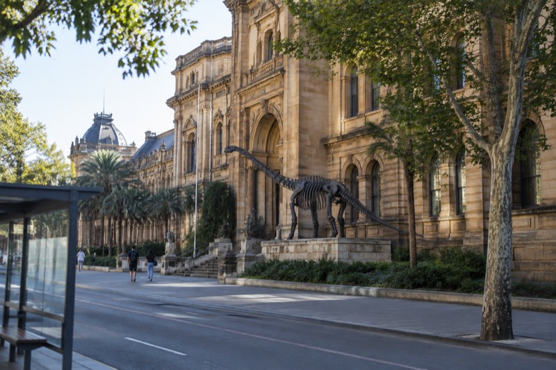 Australian Museum