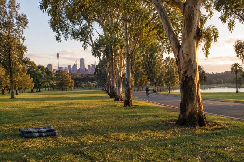 Centennial Park