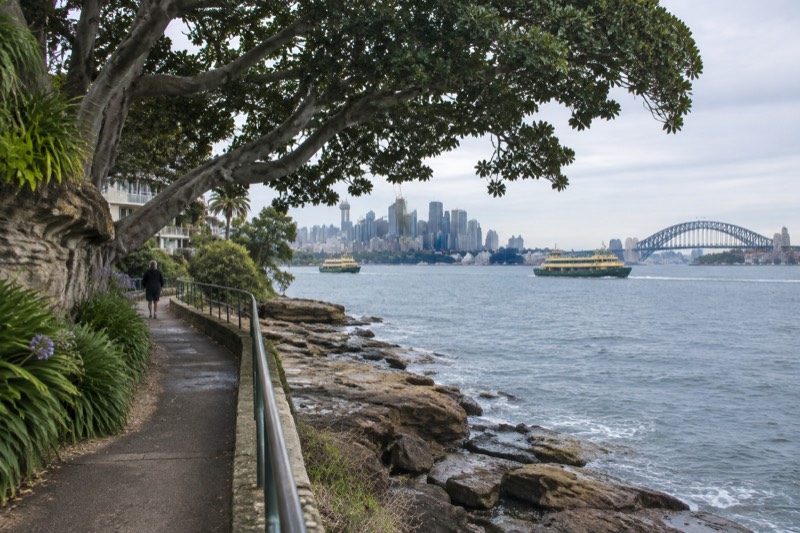 Cremorne Point to Kirribilli foreshore walk