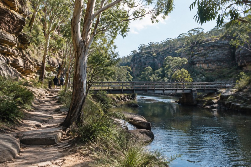 Royal National Park (vehicle entry)